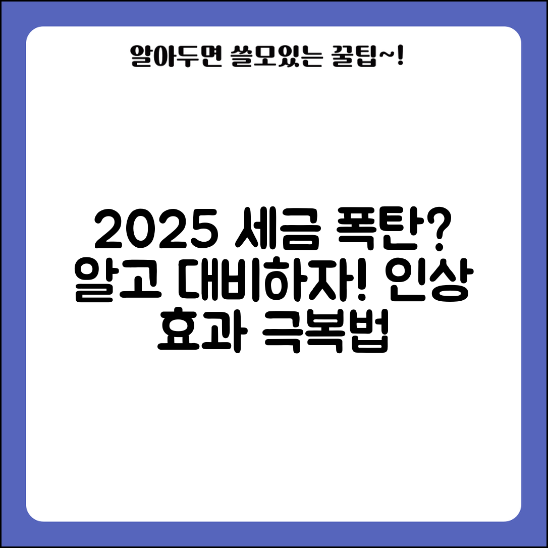 세율 인상 2025 전망 | 세율 인상 영향 대응 방안
