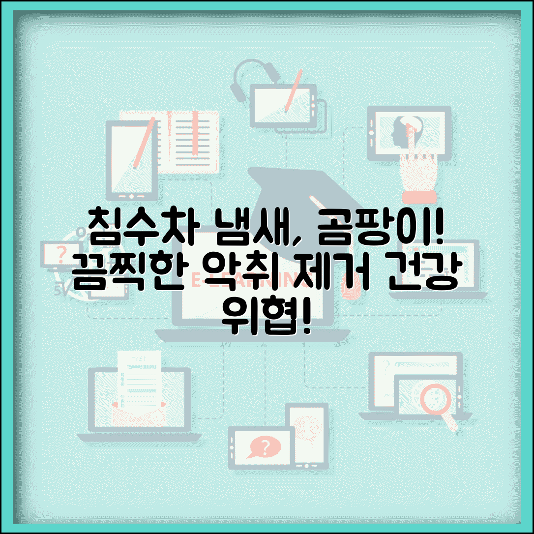 침수차 냄새 및 곰팡이 | 침수차량 냄새 제거 | 곰팡이 번식 위험 | 실내 위생 문제
