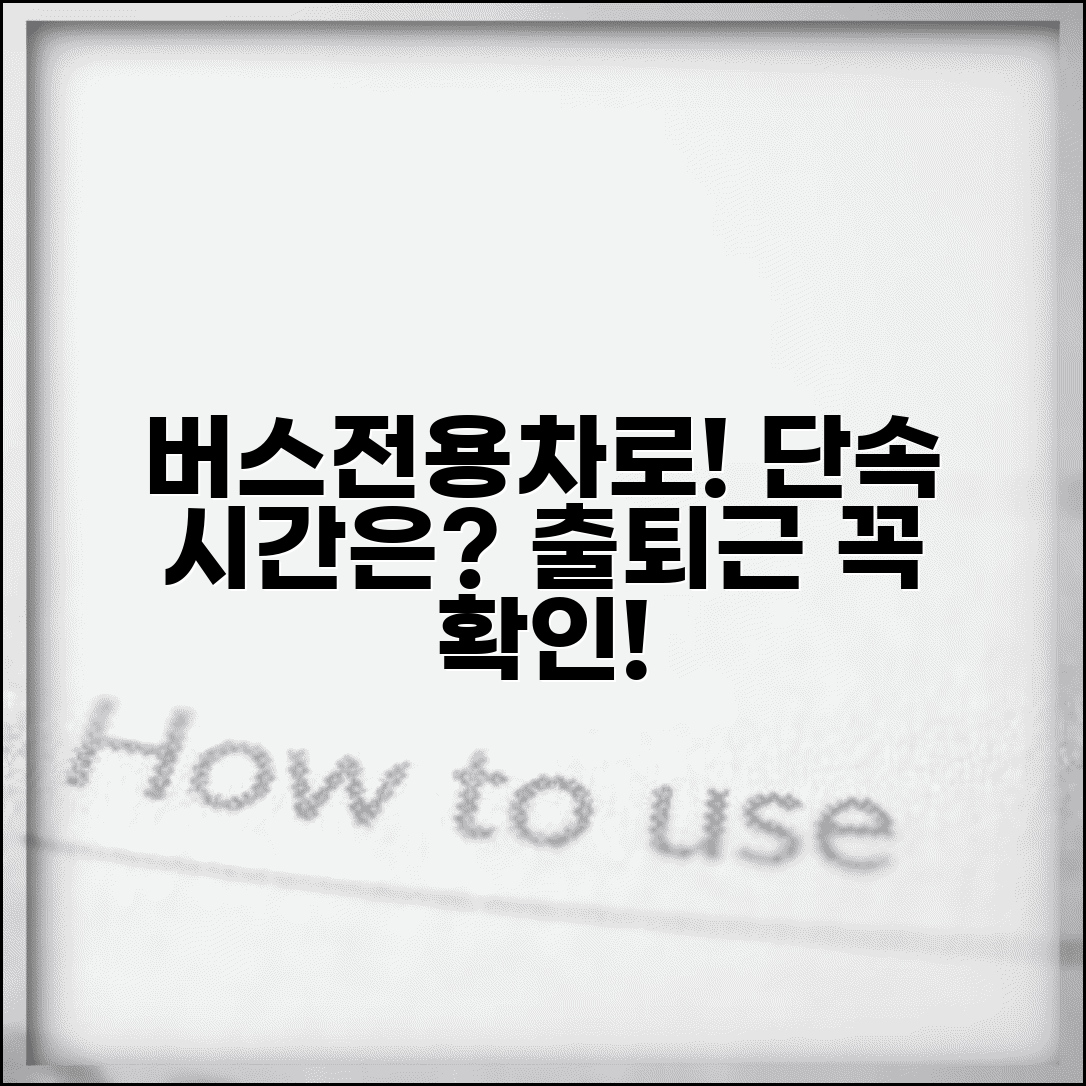 버스전용차로 단속시간 출퇴근 | 버스차로 위반 단속 시간대와 일반차량 통행 금지