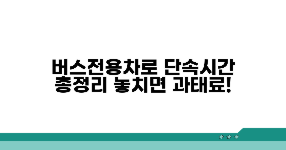 버스전용차로 단속시간 총정리