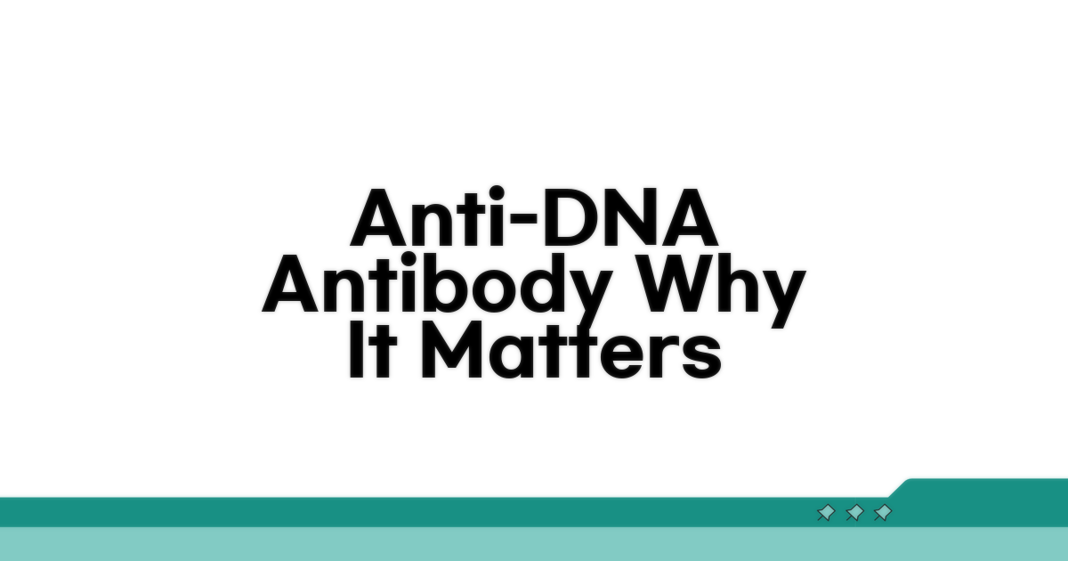 항DNA 항체, 왜 중요할까?