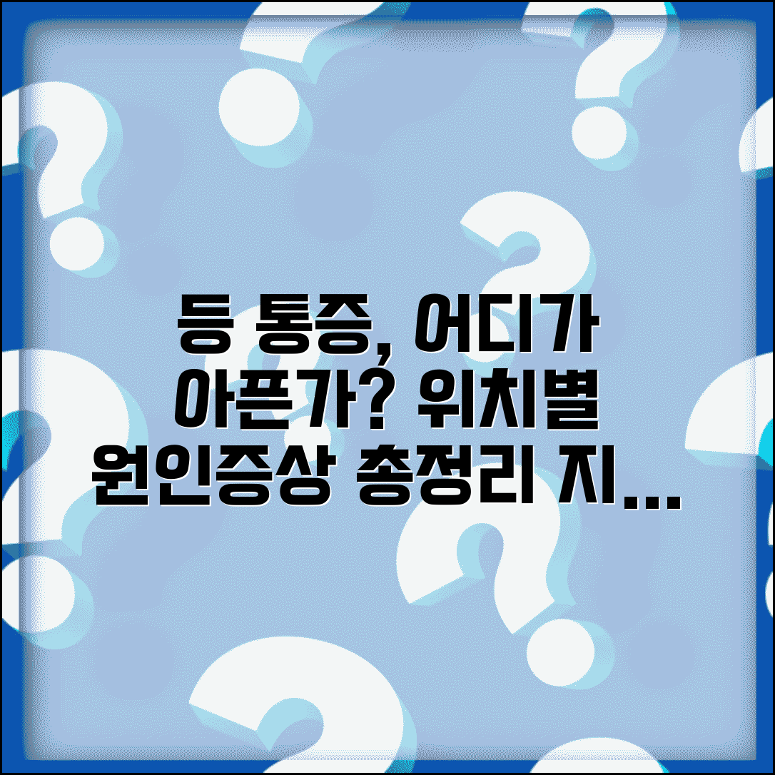 등 통증 원인 위치별 질병 | 등 아픈 부위별 원인과 증상