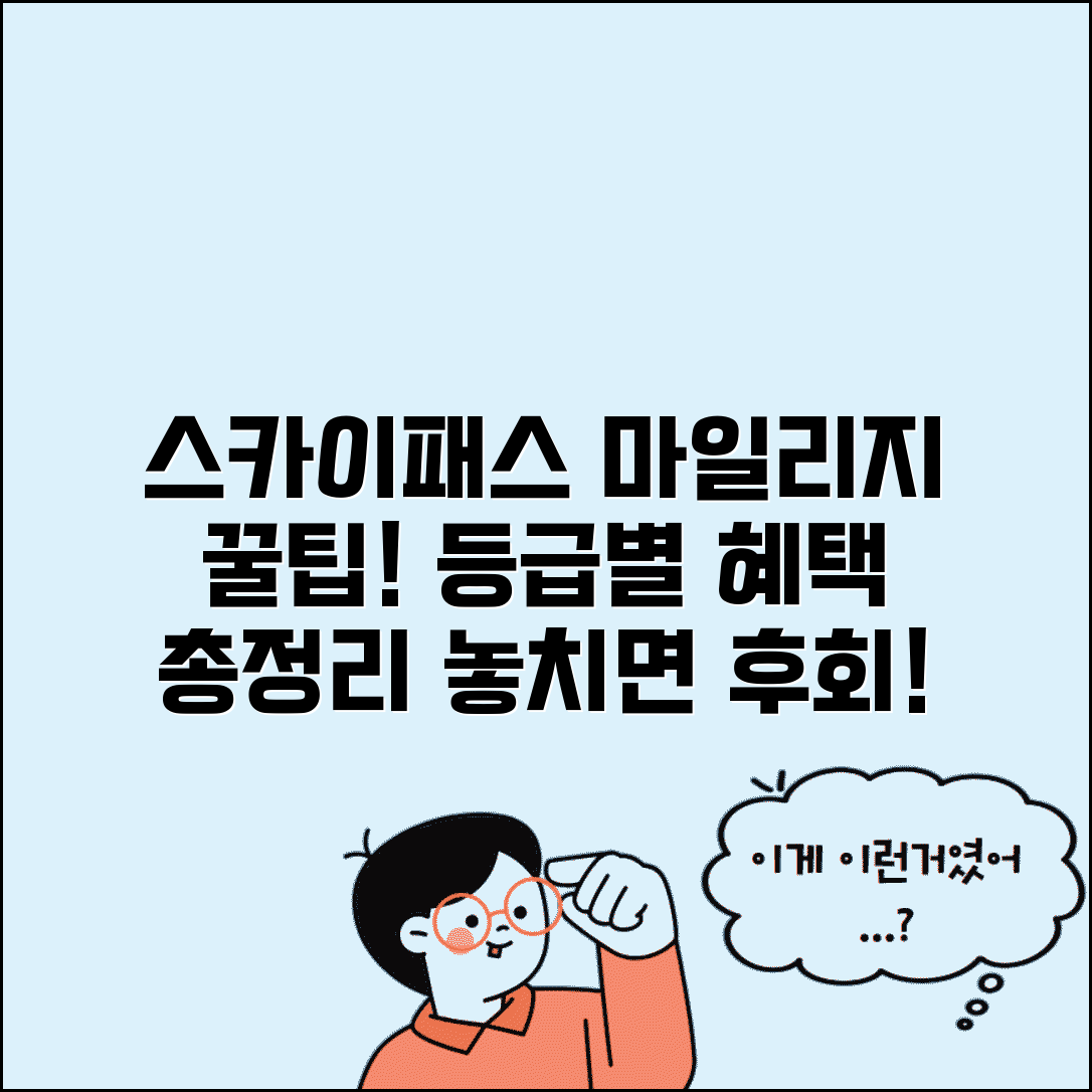 스카이패스 마일리지 조회 및 활용법 | 회원등급별 혜택과 우대서비스