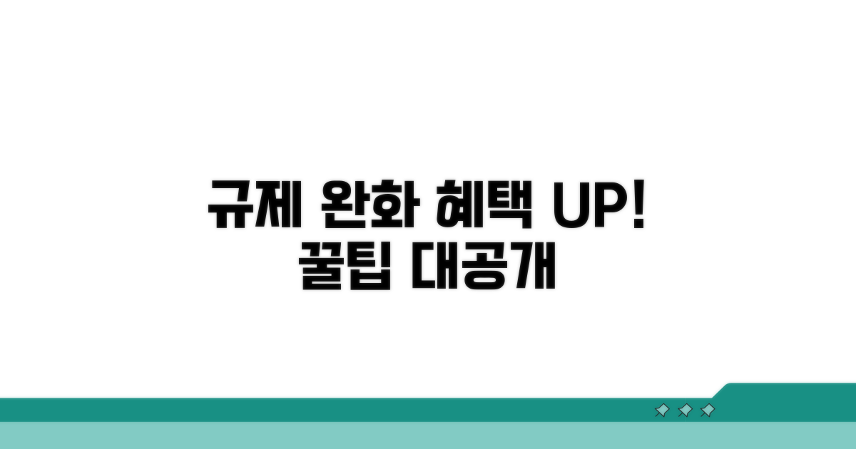 규제 완화 혜택 극대화 꿀팁