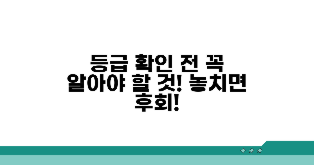 등급 확인 전 꼭 알아둘 점
