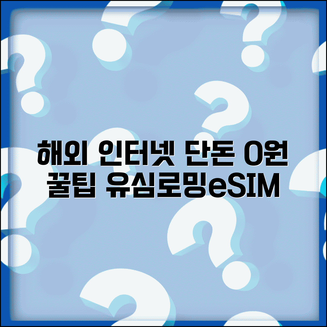 해외 인터넷 저렴하게 쓰는 법 | 유심, 로밍, eSIM 비교 및 장단점 총정리