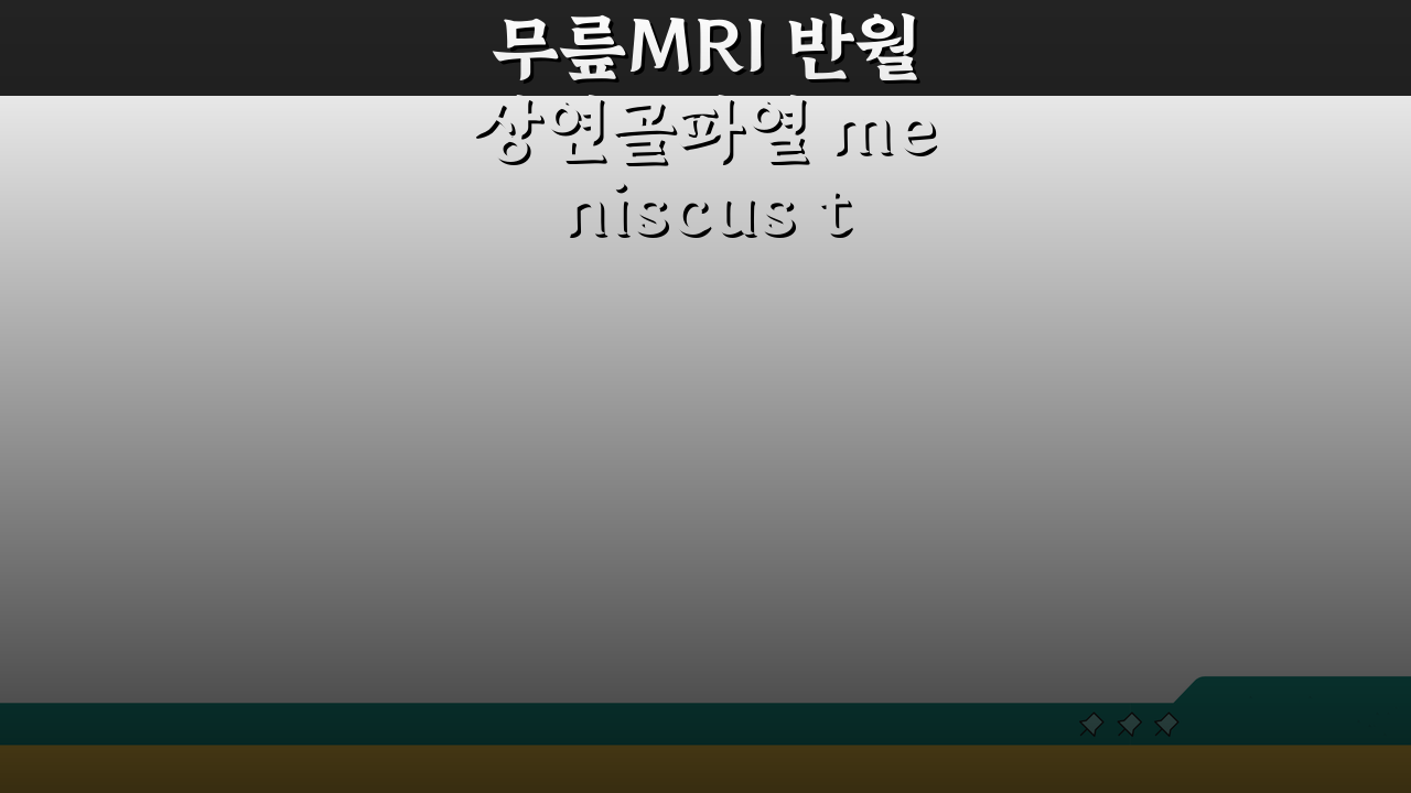 무릎MRI 반월상연골파열 meniscus tear 위치: 내측/외측 파열 전각 후각 핵심