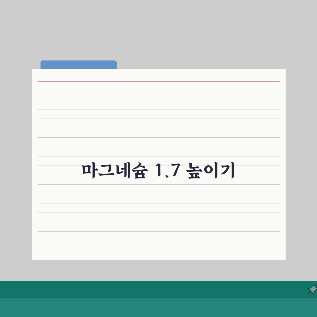 마그네슘 수치 1.7 높이는 영양제 선택, 제가 직접 써보고 공유해요!