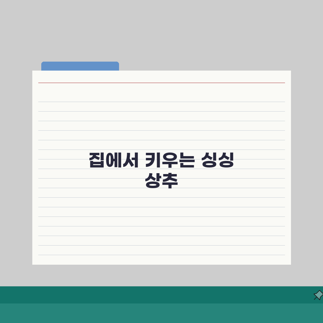 상추 키우기 | 상추 재배 씨앗 파종 물주기 A to Z: 7단계 완벽 가이드